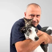 Carlos Rodríguez en el cartel de `Como el perro y el gato´ Carlos Rodríguez en el cartel de `Como el perro y el gato´