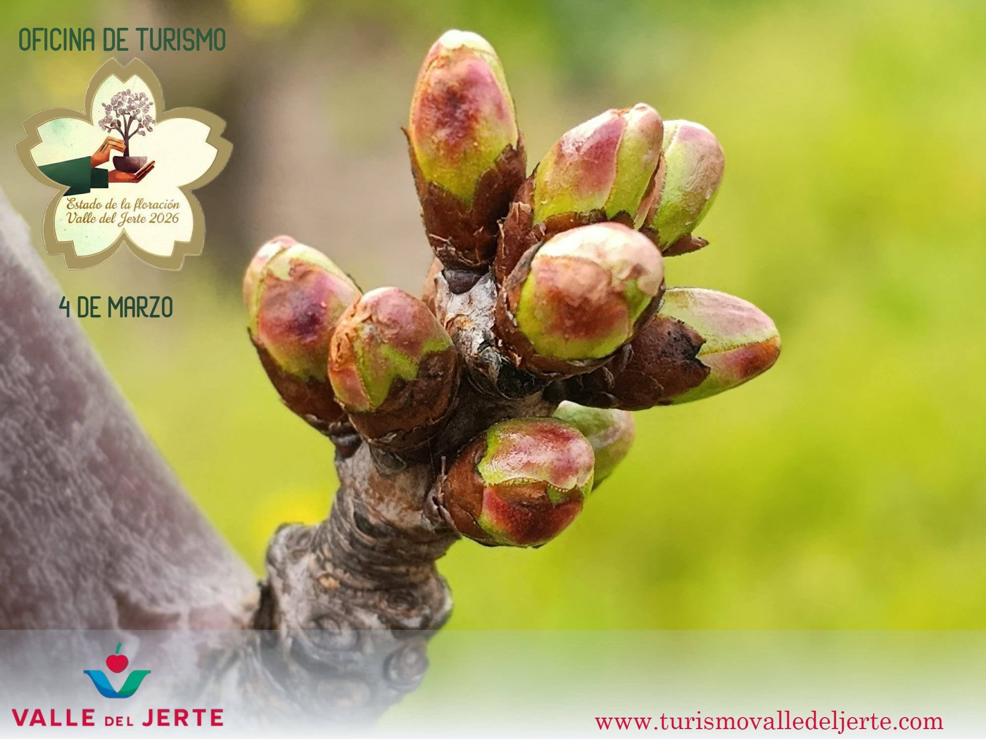 Del 20 de marzo al 3 de mayo llegará una nueva edición de la Primavera y Cerezo en Flor del Valle del Jerte Del 20 de marzo al 3 de mayo llegará una nueva edición de la Primavera y Cerezo en Flor del Valle del Jerte