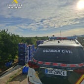 Sustracción de cítricos durante la campaña de recolecta en Carcaixent