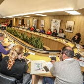 Constitución del Consejo Local de Inclusión y Derechos Sociales de Elda.