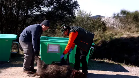 Detectat un nou cas de PPA que amplia la zona d’alt risc fins a Sant Just Desvern i Esplugues Detectat un nou cas de PPA que amplia la zona d’alt risc fins a Sant Just Desvern i Esplugues