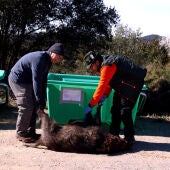 Detectat un nou cas de PPA que amplia la zona d’alt risc fins a Sant Just Desvern i Esplugues