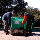Detectat un nou cas de PPA que amplia la zona d’alt risc fins a Sant Just Desvern i Esplugues Detectat un nou cas de PPA que amplia la zona d’alt risc fins a Sant Just Desvern i Esplugues