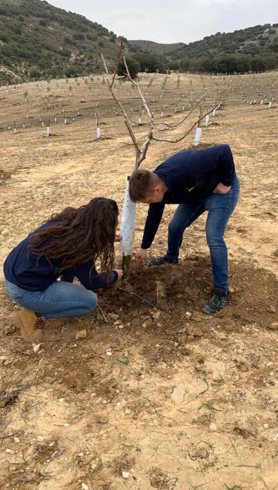 Programa Cultiva en Granada 