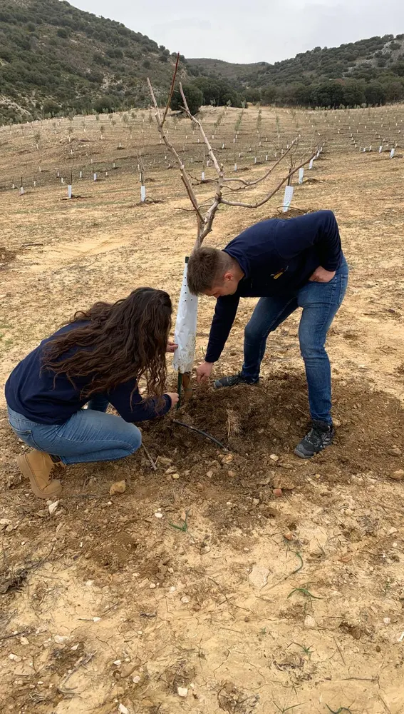 Programa Cultiva en Granada Programa Cultiva en Granada