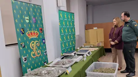 La Guardia Civil desarticula una organización criminal que cultivaba marihuana en una nave del polígono de Hontoria La Guardia Civil desarticula una organización criminal que cultivaba marihuana en una nave del polígono de Hontoria
