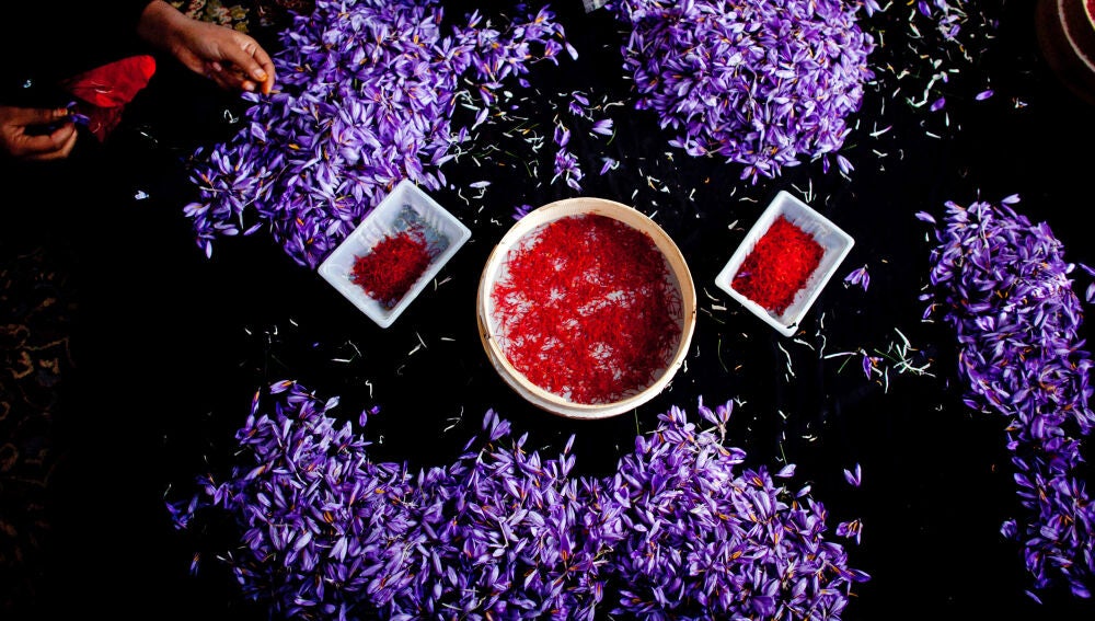 Irán es el principal exportador de azafrán del planeta.