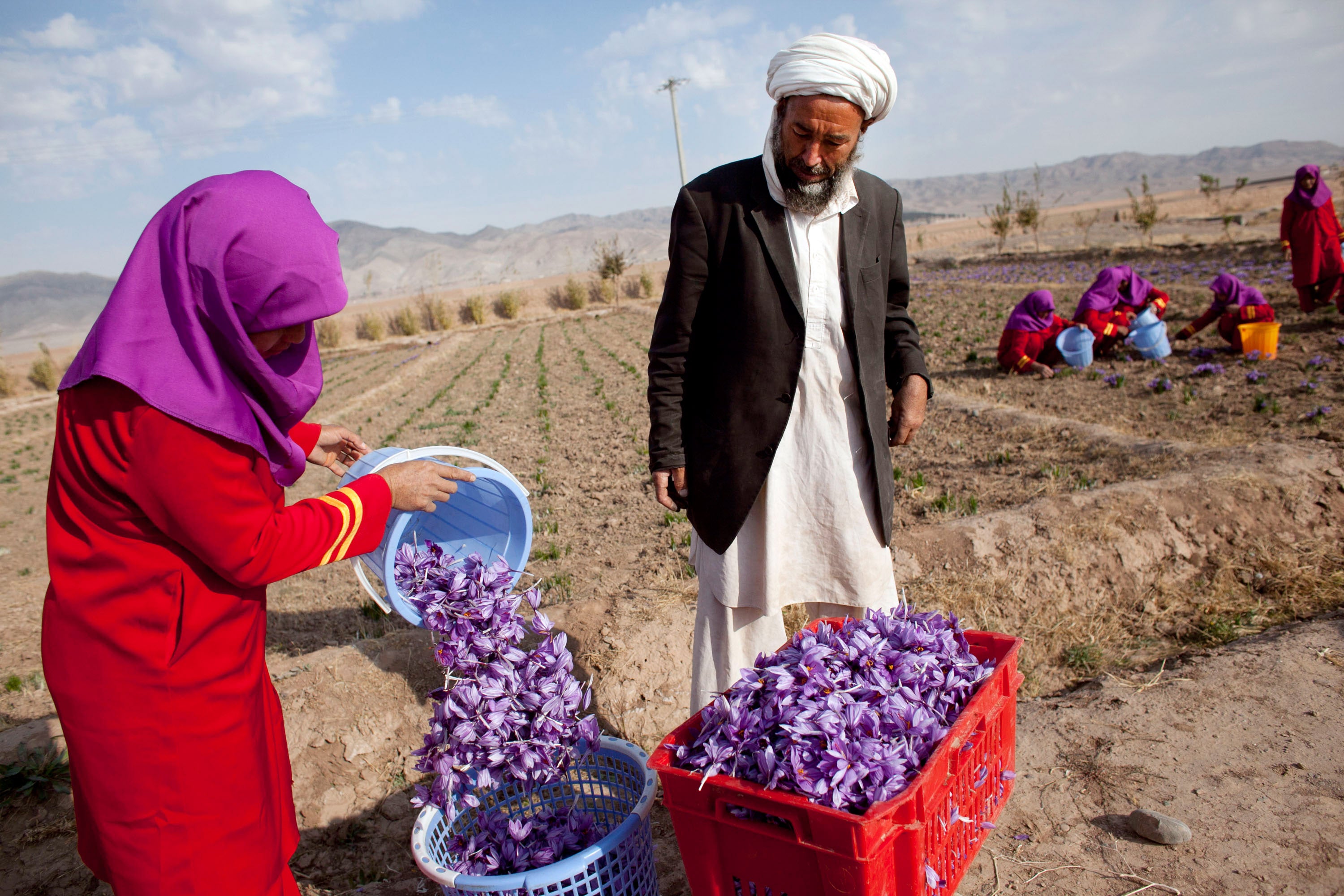 Estos son los alimentos que exporta Irán y que más subirán de precio en los supermercados Estos son los alimentos que exporta Irán y que más subirán de precio en los supermercados