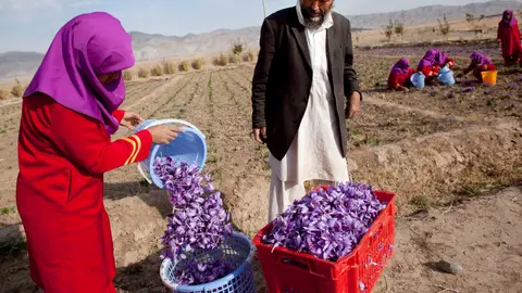 Estos son los alimentos que exporta Irán y que más subirán de precio en los supermercados Estos son los alimentos que exporta Irán y que más subirán de precio en los supermercados