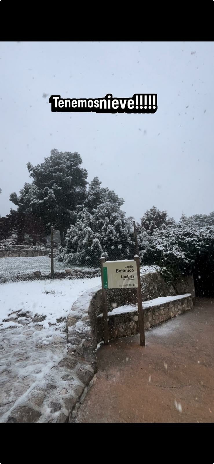 La nieve en María es "mariavillosa" La nieve en María es "mariavillosa"