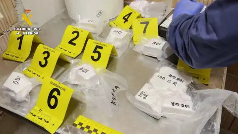 Detenidas 19 personas en Granada por introducir droga de Brasil y distribuirla por Andalucía Detenidas 19 personas en Granada por introducir droga de Brasil y distribuirla por Andalucía