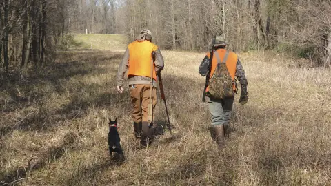 El plazo para presentar las solicitudes a la oferta pública de caza de Extremadura se adelanta a septiembre El plazo para presentar las solicitudes a la oferta pública de caza de Extremadura se adelanta a septiembre