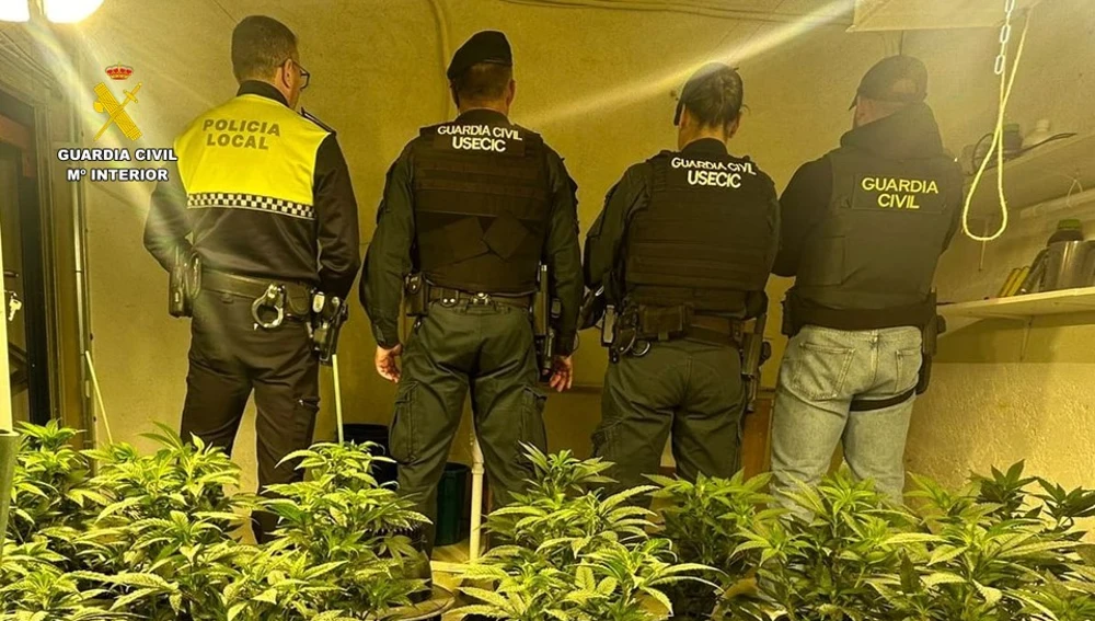 Efectivos de la Guardia Civil, de la Unidad de Seguridad Ciudadana y de la Policía Local de Elda en la plantación de marihuana. Efectivos de la Guardia Civil, de la Unidad de Seguridad Ciudadana y de la Policía Local de Elda en la plantación de marihuana.