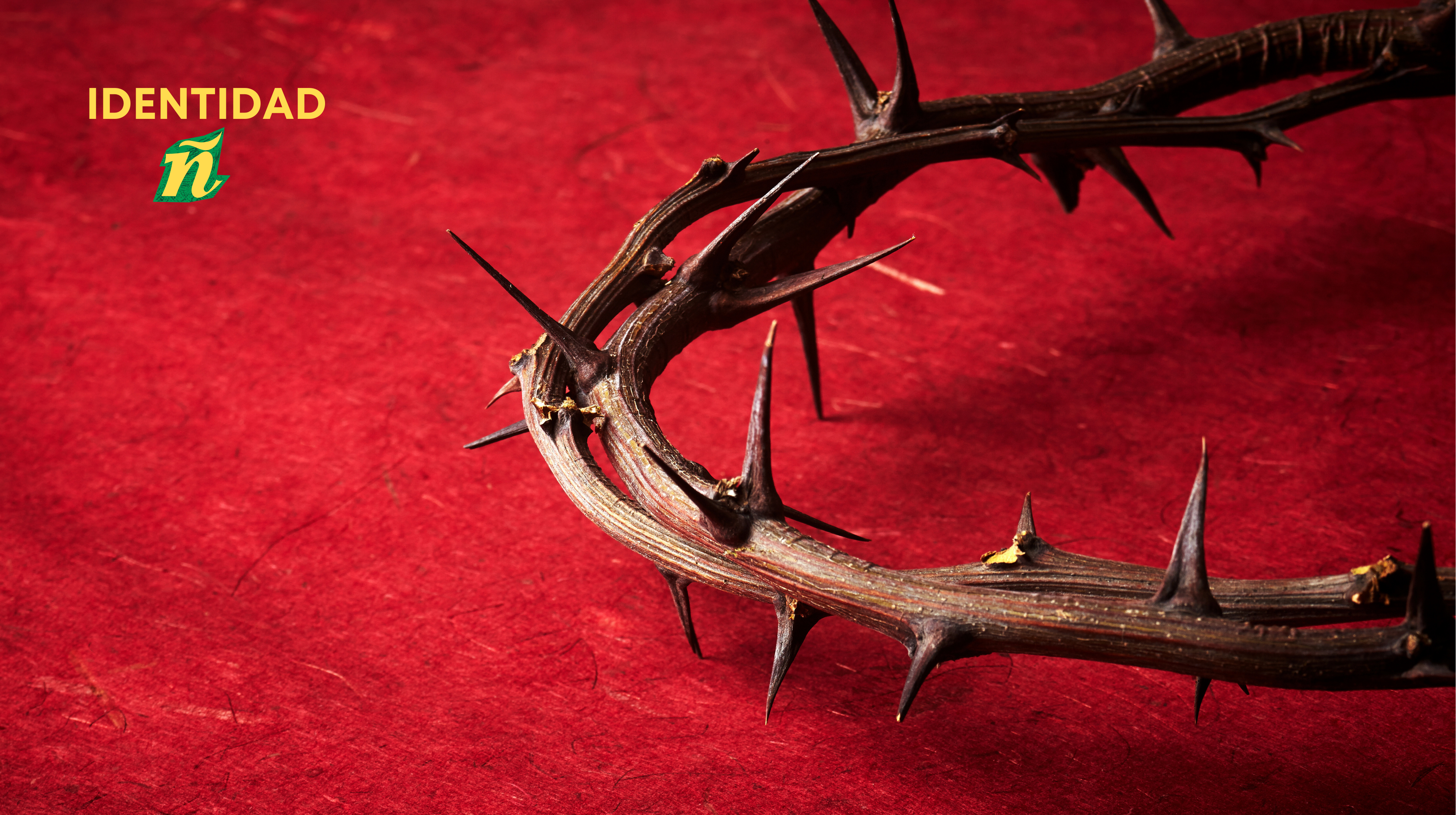 Identidad Ñ: Ana Bravo desentraña el origen de la palabra «pasión» Identidad Ñ: Ana Bravo desentraña el origen de la palabra «pasión»