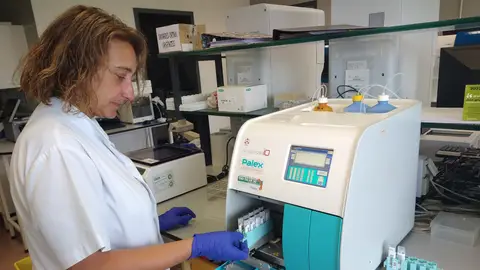 Els cribratges de càncer de còlon han permès detectar uns 2.000 casos des del 2009 a Barcelona Els cribratges de càncer de còlon han permès detectar uns 2.000 casos des del 2009 a Barcelona