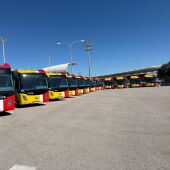 El Govern incorpora 14 nuevos autobuses al TIB de Mallorca a partir del 27 de marzo
