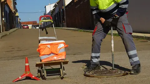 Promedio ejecuta casi 2.800 tratamientos preventivos al año contra ratas y cucarachas en la provincia de Badajoz Promedio ejecuta casi 2.800 tratamientos preventivos al año contra ratas y cucarachas en la provincia de Badajoz