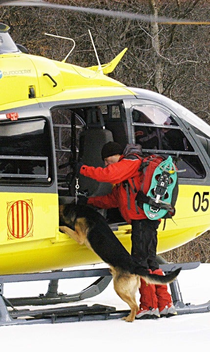 Imagen de archivo de un miembro de los equipos de rescate y un perro subiendo a un helicóptero Imagen de archivo de un miembro de los equipos de rescate y un perro subiendo a un helicóptero
