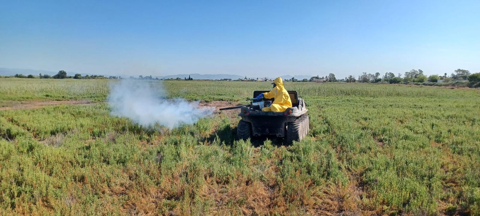 El Ayuntamiento de Nules hace un llamamiento ciudadano para prevenir focos de mosquitos El Ayuntamiento de Nules hace un llamamiento ciudadano para prevenir focos de mosquitos