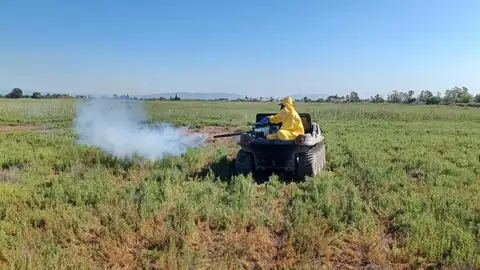 El Ayuntamiento de Nules hace un llamamiento ciudadano para prevenir focos de mosquitos El Ayuntamiento de Nules hace un llamamiento ciudadano para prevenir focos de mosquitos