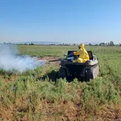 El Ayuntamiento de Nules hace un llamamiento ciudadano para prevenir focos de mosquitos El Ayuntamiento de Nules hace un llamamiento ciudadano para prevenir focos de mosquitos