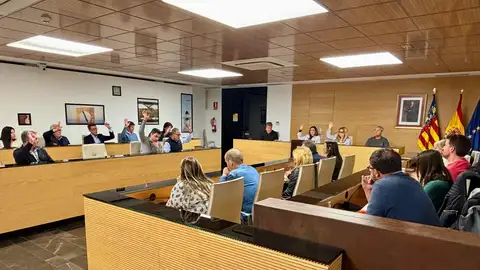 El Ayuntamiento de Almassora aprueba destinar más de 742.000 euros en subvenciones a su tejido asociativo El Ayuntamiento de Almassora aprueba destinar más de 742.000 euros en subvenciones a su tejido asociativo