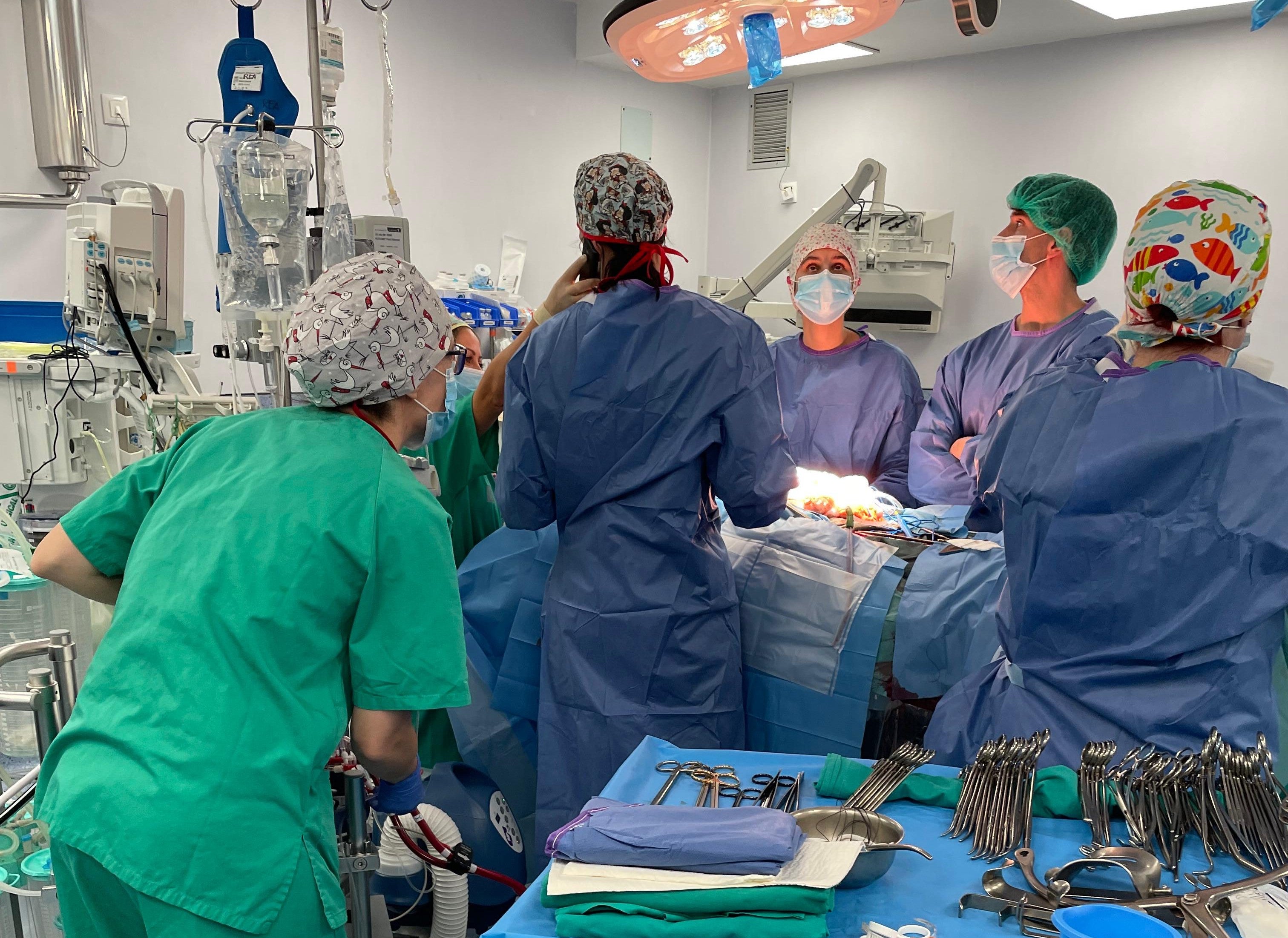 La donación altruista de un riñón en Valencia que ha salvado varias vidas La donación altruista de un riñón en Valencia que ha salvado varias vidas