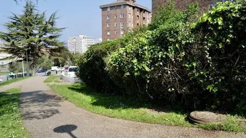 La Fiscalía de Cantabria no pedirá cautelares para el detenido por la muerte del aficionado del Racing La Fiscalía de Cantabria no pedirá cautelares para el detenido por la muerte del aficionado del Racing