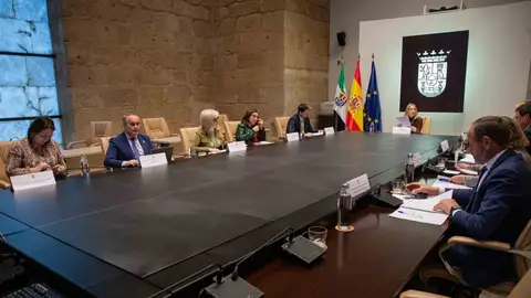 La Junta aprueba dos nuevos programas de colaboración municipal para servicios sociales y ayudas para el sector vitivinícola La Junta aprueba dos nuevos programas de colaboración municipal para servicios sociales y ayudas para el sector vitivinícola