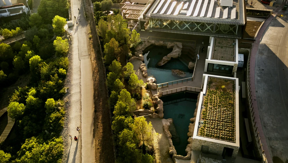 Sesión Alfonso Calza Patio Hotel Bosque Tempus -10 Sesión Alfonso Calza Patio Hotel Bosque Tempus -10