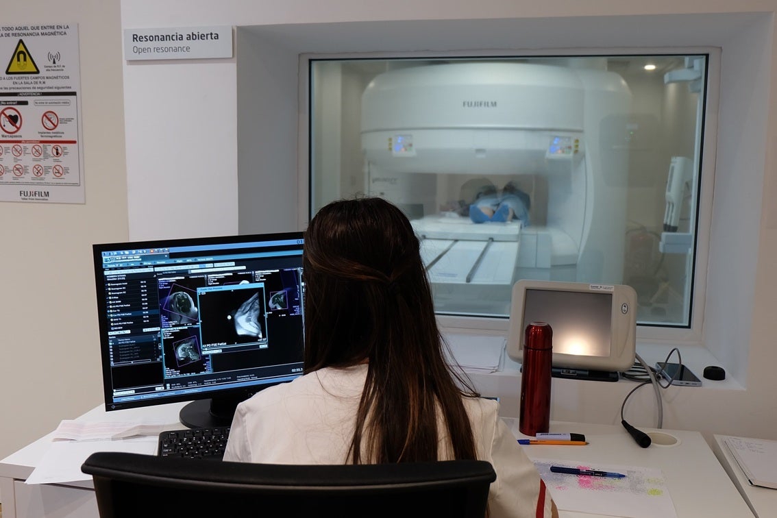 No solo la gasolina: cemento, materiales de construcción y hasta las resonancias magnéticas en riesgo por la guerra de Irán No solo la gasolina: cemento, materiales de construcción y hasta las resonancias magnéticas en riesgo por la guerra de Irán