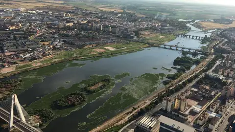 Fallece una mujer tras caer de una vivienda de un edificio en Badajoz Fallece una mujer tras caer de una vivienda de un edificio en Badajoz