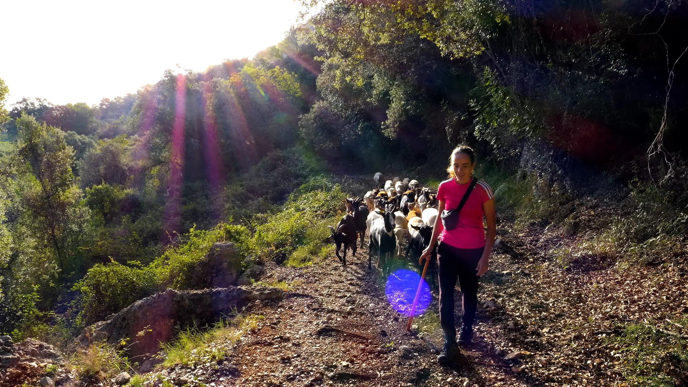 Paula Lorente, sobre el oficio de pastora: "La ciudad vive del pueblo y el pueblo de la ciudad, esas conexiones hay que mantenerlas vivas" Paula Lorente, sobre el oficio de pastora: "La ciudad vive del pueblo y el pueblo de la ciudad, esas conexiones hay que mantenerlas vivas"