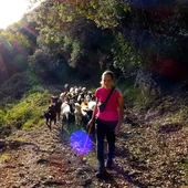Paula Lorente ejerciendo el pastoreo. Paula Lorente ejerciendo el pastoreo.