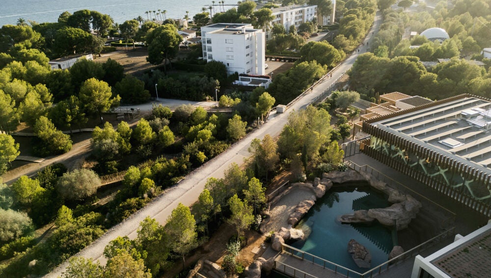 Sesion Alfonso Calza Patio Hotel Bosque Tempus