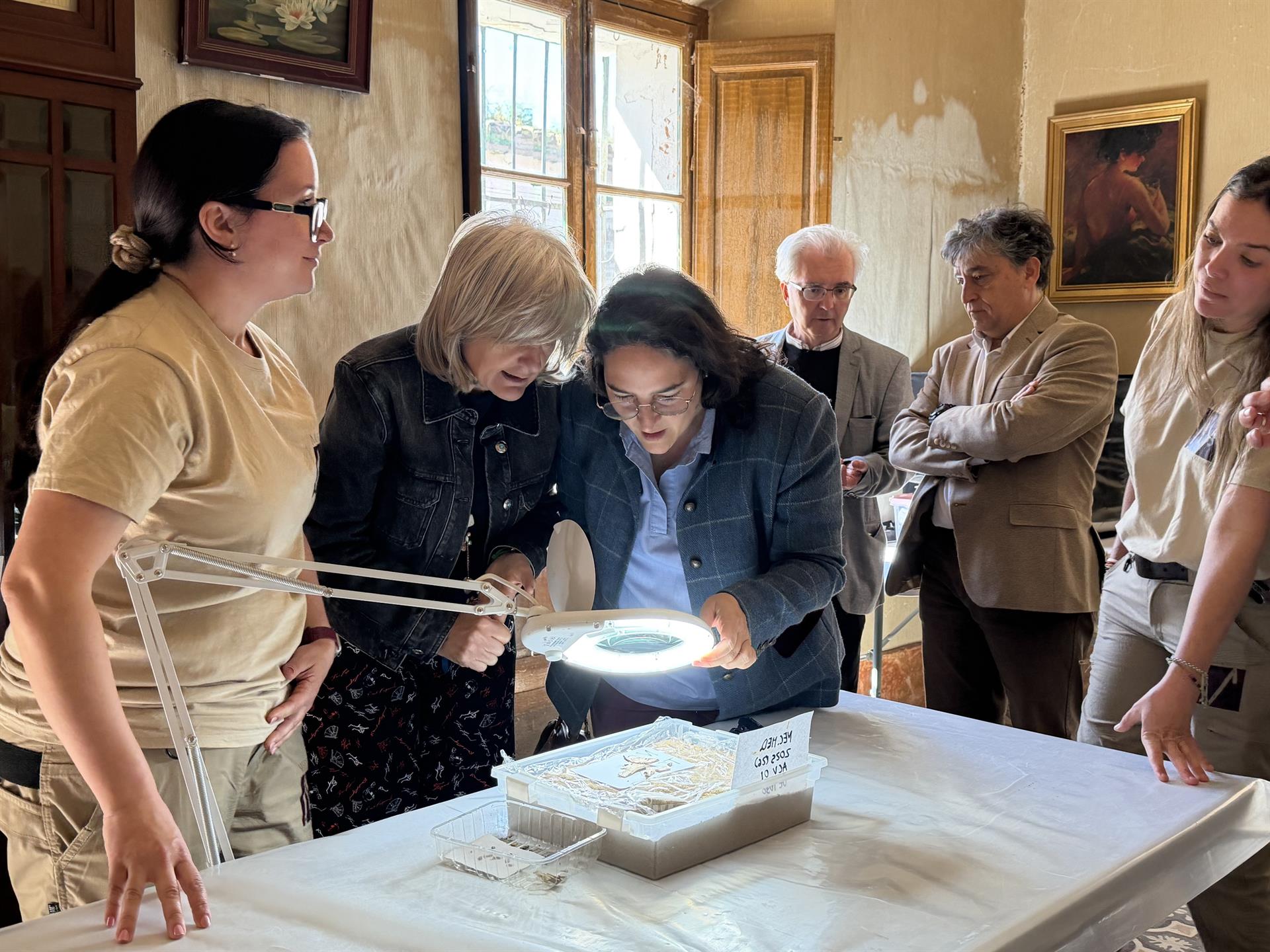 Una exposición en Medellín repasa los hallazgos más recientes del yacimiento arqueológico Una exposición en Medellín repasa los hallazgos más recientes del yacimiento arqueológico