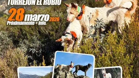 La I Convivencia de Rehalas en Torrejón el Rubio combinará este sábado tradición, cultura y ocio La I Convivencia de Rehalas en Torrejón el Rubio combinará este sábado tradición, cultura y ocio