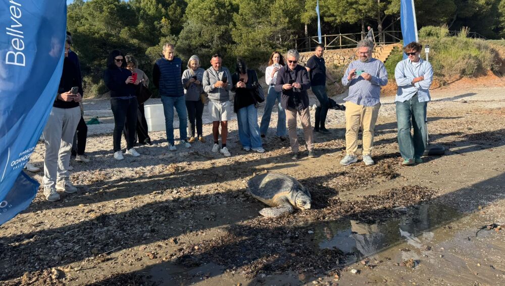 Momento de la liberación de la tortuga apodada 'Cultureta'