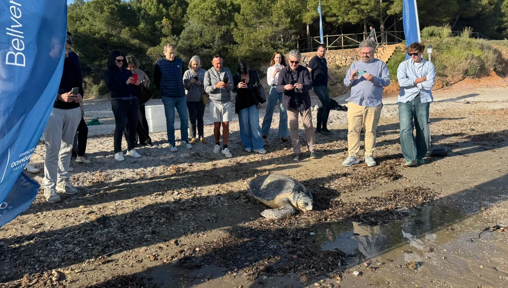 Momento de la liberación de la tortuga apodada 'Cultureta' Momento de la liberación de la tortuga apodada 'Cultureta'