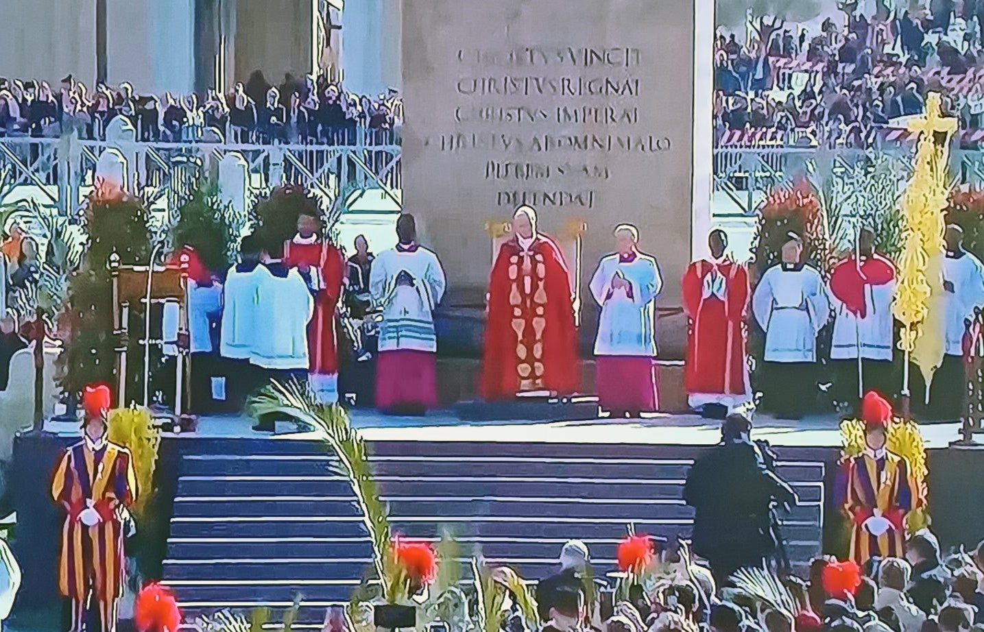 La palma blanca regalada por Elche al Papa brilla con luz propia en la primera misa de Domingo de Ramos de León XIV La palma blanca regalada por Elche al Papa brilla con luz propia en la primera misa de Domingo de Ramos de León XIV