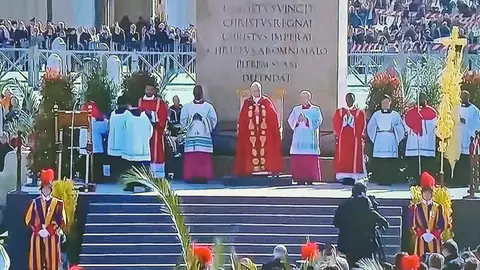 A la derecha de la imagen la palma blanca regalada por Elche al Papa León XIV en la plaza de San Pedro. A la derecha de la imagen la palma blanca regalada por Elche al Papa León XIV en la plaza de San Pedro.