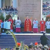 A la derecha de la imagen la palma blanca regalada por Elche al Papa León XIV en la plaza de San Pedro.