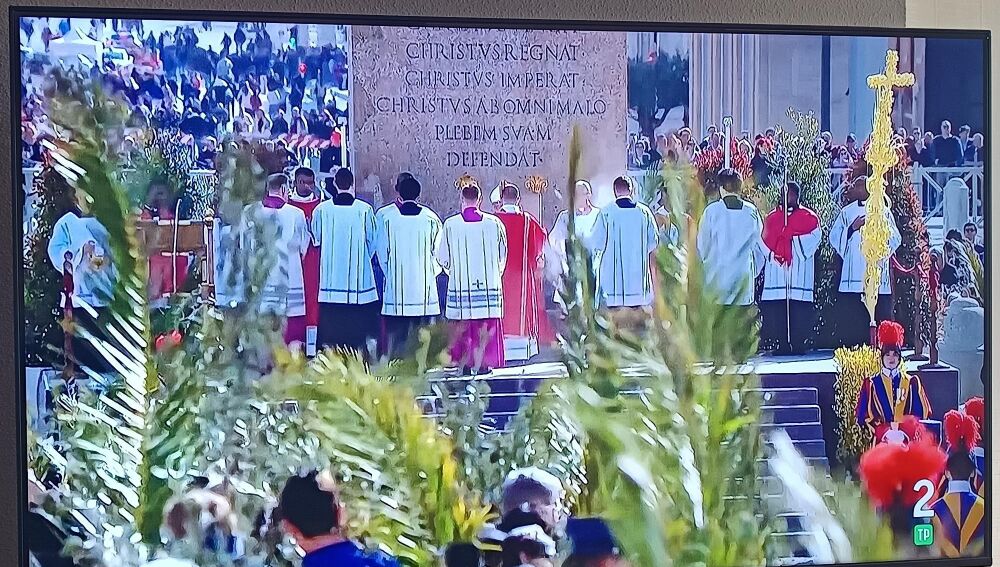 A la derecha de la imagen la palma blanca regalada por Elche al Papa León XIV en la plaza de San Pedro.