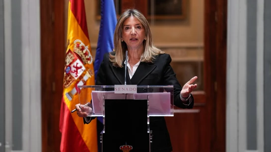 La portavoz del PP en el Senado, Alicia García, durante una rueda de prensa en la Cámara Alta La portavoz del PP en el Senado, Alicia García, durante una rueda de prensa en la Cámara Alta
