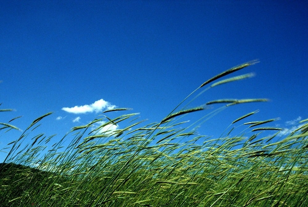 Sigue la alerta por fuerte viento en buena parte de Aragón Sigue la alerta por fuerte viento en buena parte de Aragón