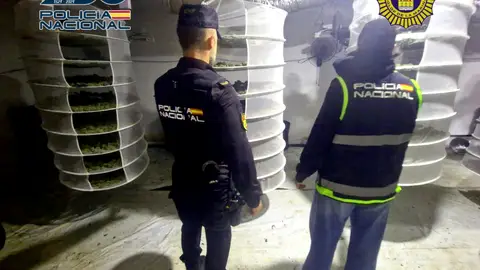 La Policía Nacional y la Policía Local de Polop desmantelan un cultivo indoor de marihuana ubicado en una vivienda unifamiliar La Policía Nacional y la Policía Local de Polop desmantelan un cultivo indoor de marihuana ubicado en una vivienda unifamiliar