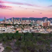 Parques y jardines Benidorm Parques y jardines Benidorm
