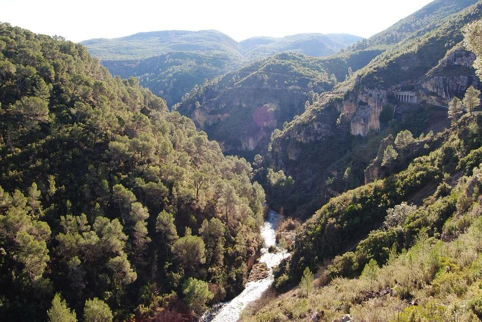 La Generalitat recuerda la prohibición del uso del fuego en terrenos forestales durante los días de Semana Santa y Pascua La Generalitat recuerda la prohibición del uso del fuego en terrenos forestales durante los días de Semana Santa y Pascua