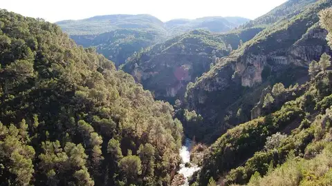 Zona forestal de la Comunitat Valenciana. Zona forestal de la Comunitat Valenciana.