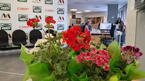 Los geranios de Pelargonium for Europe en Onda Cero Valencia Los geranios de Pelargonium for Europe en Onda Cero Valencia